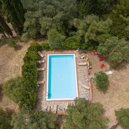 Villa I Tigli カンピーリア・マリッティマ エクステリア 写真