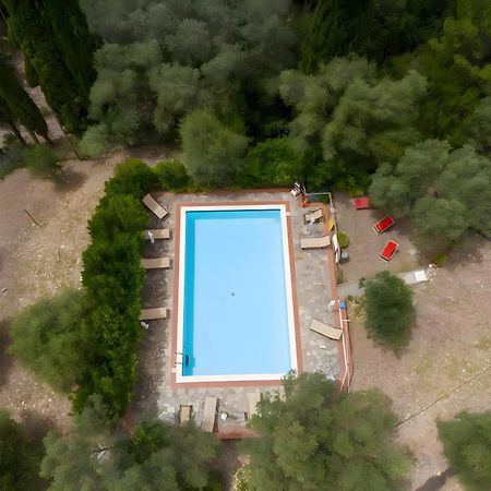 Villa I Tigli カンピーリア・マリッティマ エクステリア 写真